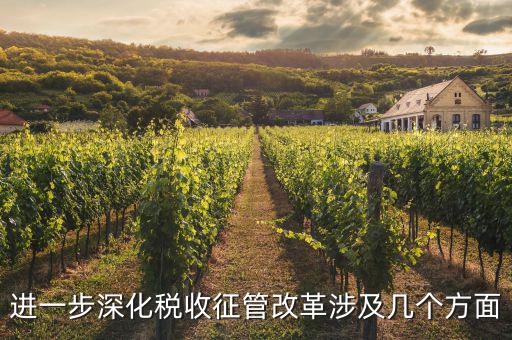 稅務(wù)改革 發(fā)展要什么，論述個(gè)人所得稅改革的基本原則