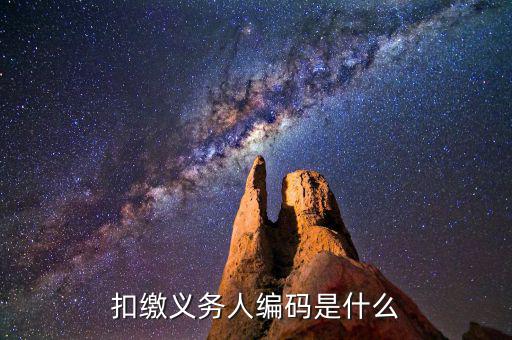 個稅系統(tǒng)扣繳義務人編碼是什么，扣繳義務人編碼是什么