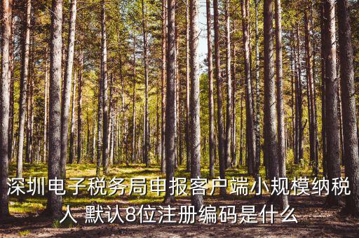 深圳納稅人編號是什么，什么是深圳市國稅百元開頭發(fā)票的納稅人識別號
