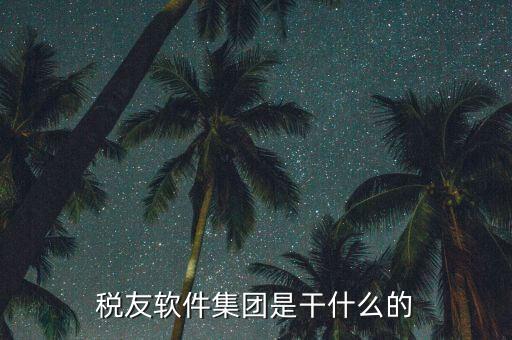 稅友軟件是干什么的，稅友的稅友軟件集團