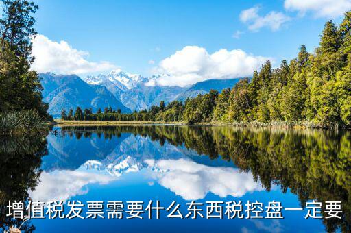 發(fā)票打印需要什么盤(pán)，調(diào)試打印增值稅發(fā)票的打印機(jī)要插入金稅盤(pán)嗎
