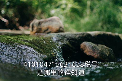 河南省的稅號(hào)是什么意思，410104715631658稅號(hào)是哪里的誰知道