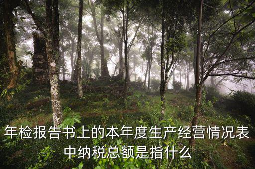 年報(bào)的納稅額看什么表，年檢報(bào)告書上的本年度生產(chǎn)經(jīng)營(yíng)情況表中納稅總額是指什么