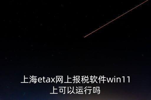 上海網(wǎng)上報(bào)稅什么軟件，上海etax網(wǎng)上報(bào)稅軟件win11上可以運(yùn)行嗎