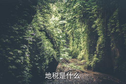 地稅初心是什么，初心使命指的是什么