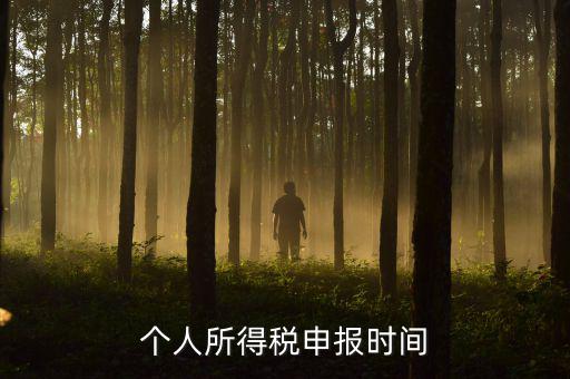 代扣代繳的個稅什么時候申報，個人所得稅申報時間