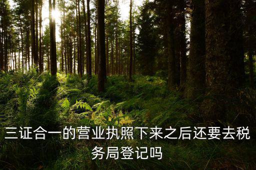辦完三證合一 要去稅局做什么，三證合一后還需要去國地稅做些什么啊
