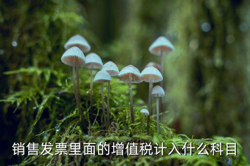 發(fā)票稅金入什么科目，開票稅金計入什么科目