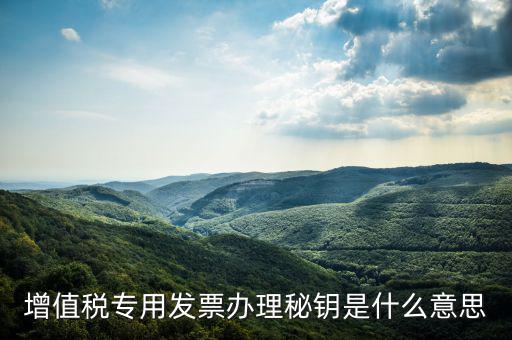 國(guó)稅密鑰是什么，增值稅專用發(fā)票辦理秘鑰是什么意思