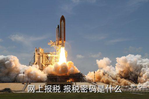 電子稅務登錄密碼是什么意思，稅務局網(wǎng)站的登入賬戶初始密碼是什么