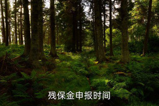 2016殘保金什么時候交，殘保金是一年一交嗎