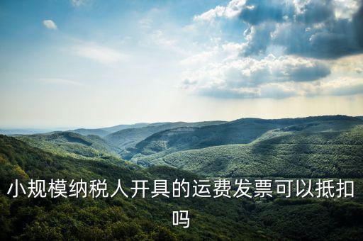 什么樣的運(yùn)費(fèi)票可以抵，運(yùn)輸費(fèi)增值稅都能用什么票抵扣
