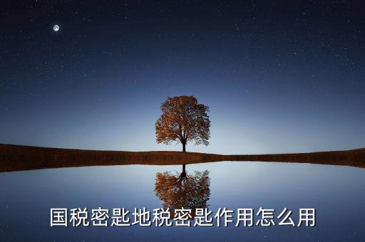 地稅密鑰是干什么的，國(guó)稅密匙地稅密匙作用怎么用