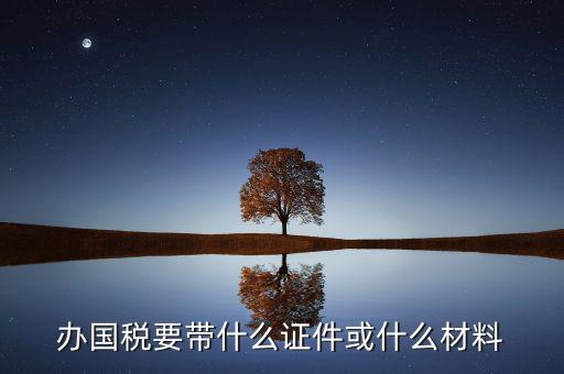 新辦國(guó)稅需要什么資料，第一次買國(guó)稅發(fā)票需要些什么手續(xù)