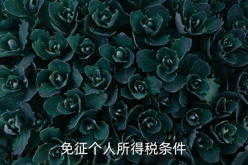 四業(yè)免征個人所得稅有什么要求，個人所得稅減免稅有哪些要求