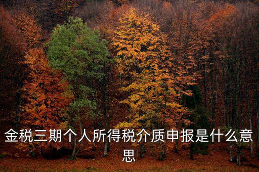 金稅三期個人所得稅介質(zhì)申報(bào)是什么意思