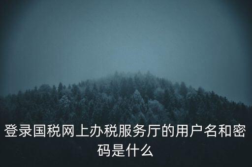 登錄國(guó)稅網(wǎng)上辦稅服務(wù)廳的用戶(hù)名和密碼是什么