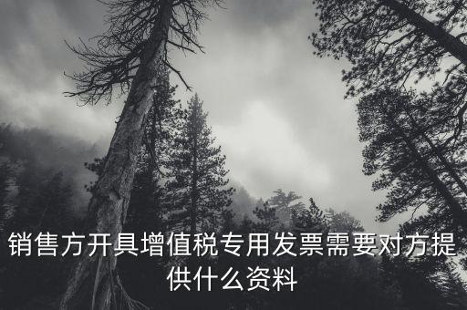 銷(xiāo)售方開(kāi)具增值稅專(zhuān)用發(fā)票需要對(duì)方提供什么資料