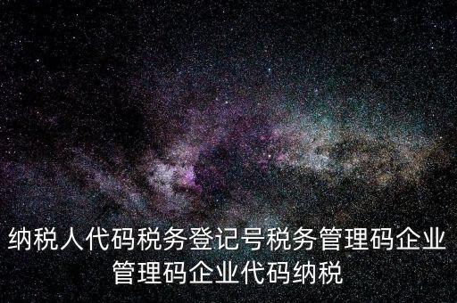 納稅人管理代碼是什么，納稅人代碼稅務(wù)登記號(hào)稅務(wù)管理碼企業(yè)管理碼企業(yè)代碼納稅