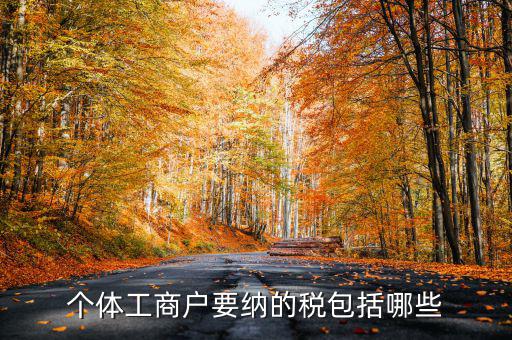 個體戶需要交什么稅，個體工商戶需要鈉哪些稅呢