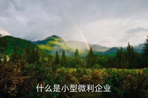 什么叫小型微利企業(yè)，什么是小型微利企業(yè)