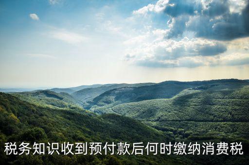 消費(fèi)稅是什么時(shí)候交，各種稅費(fèi)交納時(shí)間