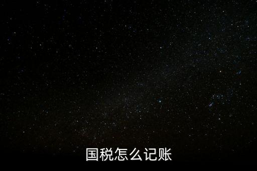 什么稅收記賬，國稅怎么記賬
