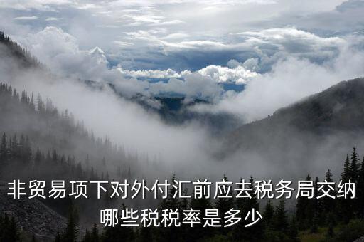為什么非貿(mào)易付匯要繳稅，公司剛剛做了筆非貿(mào)易付匯紅利股息匯出問(wèn)一下匯出金額是要扣