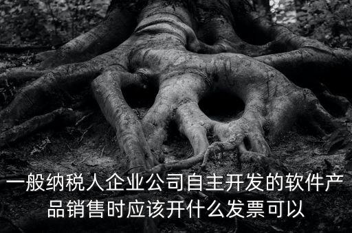 賣軟件交什么稅，一般納稅人企業(yè)公司自主開發(fā)的軟件產(chǎn)品銷售時應(yīng)該開什么發(fā)票可以
