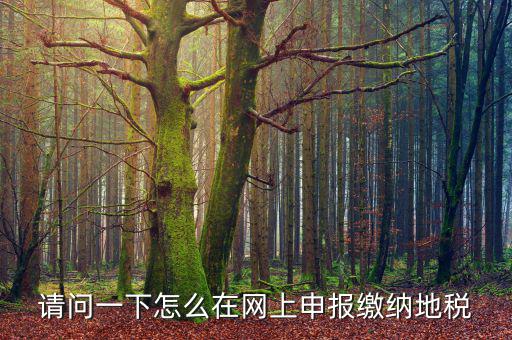 地稅個(gè)稅網(wǎng)址是什么，如何查詢(xún)個(gè)人所得稅明細(xì)