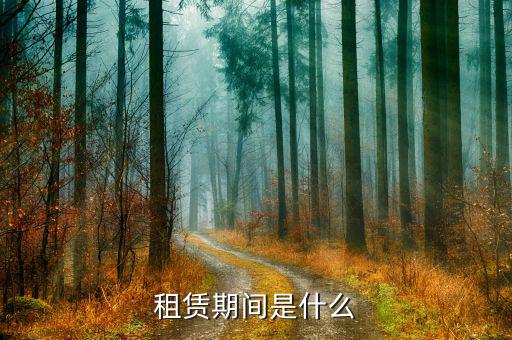 申報(bào)租金所屬租賃期是指什么，租賃期間是什么