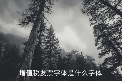 甘肅增值發(fā)票是什么字體，增值稅發(fā)票字體是什么字體