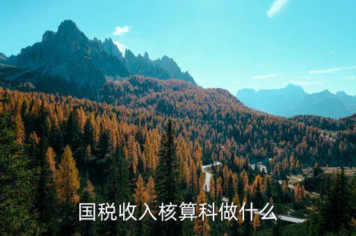 收入規(guī)劃核算處做什么的，收入核算是做什么的