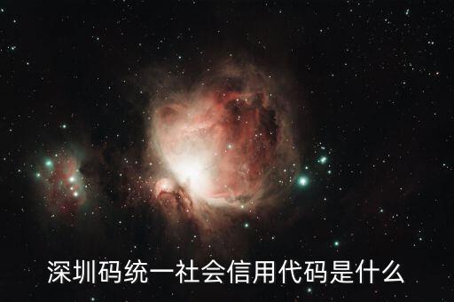 統(tǒng)一社會(huì)信用代碼是指什么不同，深圳碼統(tǒng)一社會(huì)信用代碼是什么