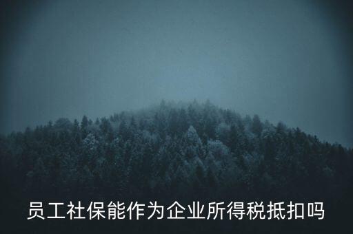 企業(yè)社?？梢缘质裁炊?，員工社保能作為企業(yè)所得稅抵扣嗎