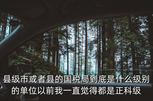 縣國(guó)稅局辦稅服務(wù)廳主任是什么級(jí)別，縣地稅局辦公室主任是什么行政級(jí)別