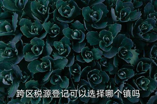 跨區(qū)稅源登記是什么，跨區(qū)稅源登記能否登記為一般納稅人