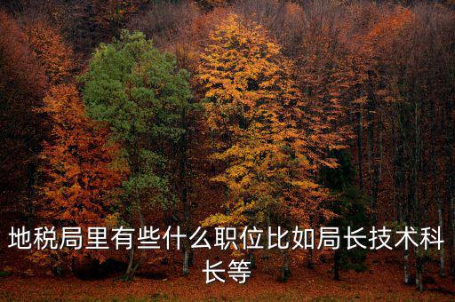 地稅局有什么委員，地級(jí)市稅務(wù)局辦公室副主任屬什么級(jí)別的官員