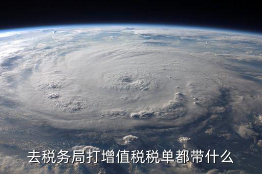國(guó)稅局打印稅單要什么，到稅務(wù)打印稅單需要什么資料