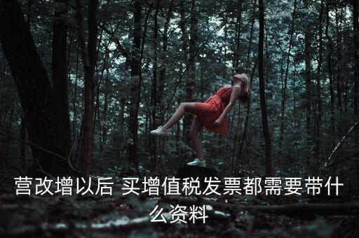 營(yíng)改增以后 買增值稅發(fā)票都需要帶什么資料