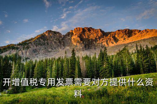 開(kāi)增值稅專用票需要對(duì)方提供什么資料，銷售方開(kāi)具增值稅專用發(fā)票需要對(duì)方提供什么資料