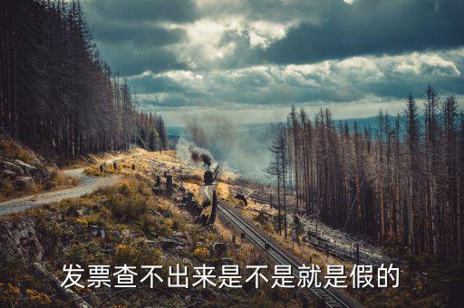 什么發(fā)票查不到真假，增值稅的發(fā)票真?zhèn)尾椴坏皆趺崔k