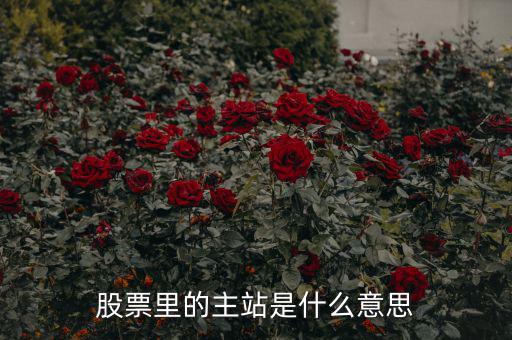 預(yù)控主站票是什么，股票里的主站是什么意思