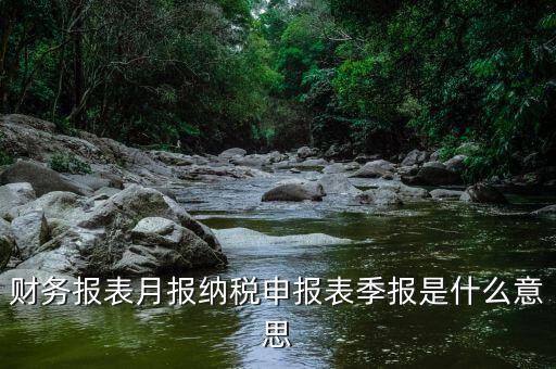 發(fā)票月報(bào)什么意思，發(fā)票月報(bào)非申報(bào)期是什么意思