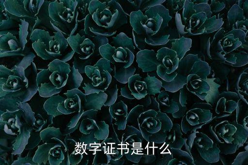 數(shù)字證書(shū)是什么