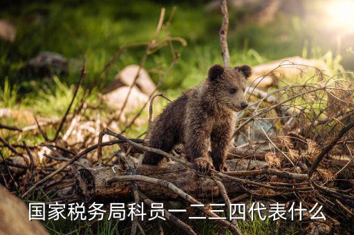 上海稅務(wù)局說的三員指什么，紀(jì)檢三員是指哪三員選舉三員是指哪三員