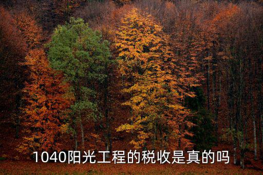 什么是陽光稅務(wù)，1040陽光工程的稅收是真的嗎