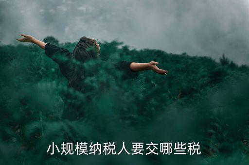 小規(guī)模納稅人報什么稅，小規(guī)模納稅人要交哪些稅