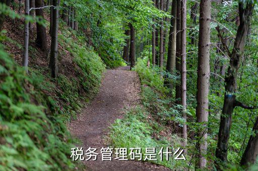成都稅務(wù)號(hào)二維碼是什么，稅務(wù)管理碼是什么