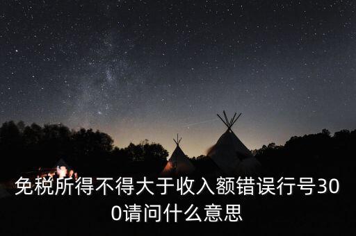 免稅所得不得大于收入額錯(cuò)誤行號(hào)300請問什么意思